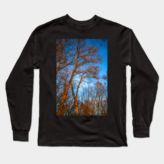 Winter landscape - frosty trees in snowy forest in the sunny morning. Tranquil winter nature in sunlight Long Sleeve T-Shirt by Olga Berlet